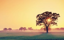 Landscape trees nature sunset clouds field clear sky Custom Gaming Mat Desk picture