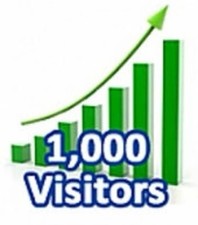 1000 Web Mobile Visitors To Your Business Website picture