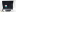 Dell E172FPb 17
