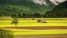 Landscape nature field pine trees village Custom Gaming Mat Desk picture