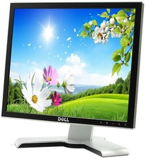 Dell 19