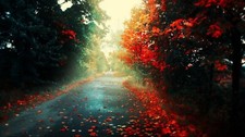 Landscape road fall fallen leaves trees plants outdoors Custom Gaming Mat Desk picture