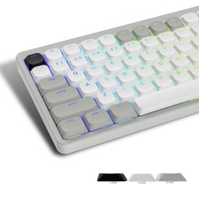 Grey White Low Profile Shine Through PBT Keycaps Set Full Size MX Switch picture