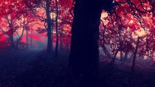 Landscape fall forest nature outdoors Custom Gaming Mat Desk picture