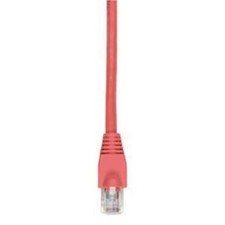 Black Box GigaTrue Cat. 6 UTP Patch Cable (EVNSL6430015) picture