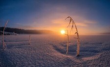 Landscape winter snow Custom Gaming Mat Desk picture
