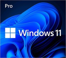 Microsoft Windows 11 Pro 64-Bit USB Flash Drive with Product Key picture