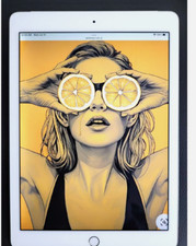 Apple iPad Pro 9.7 Wifi or Cellular Unlocked 32GB 128GB or 256GB Good condition picture