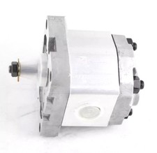 1PCS NEW FIT FOR  gear pump 1PD2.5GAS H fedex or DHL picture