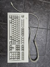 IBM Model M PS/2 Wired Keyboard Enhanced Function Keys Gray 1391401 UNTESTED picture