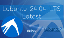 Lubuntu 24.04 LTS Latest Bootable USB Flash Drive picture