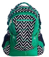 Studio C Getting Ziggy with It Collection Bag, Laptop Backpack Green White Black picture