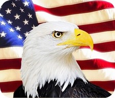 Bald Eagle - American Flag Patriotic Computer / Laptop Mouse Pad picture