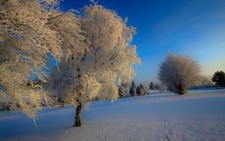 Landscape nature snow Custom Gaming Mat Desk picture