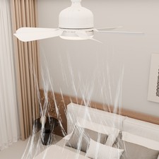 Silent Removable Fan Blade Fan Light Six Blade Fan Light 3000K-6500K Color NPLO picture