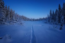 Landscape cold norway snow winter trees Custom Gaming Mat Desk picture