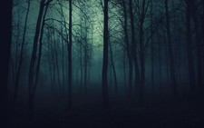 Landscape dark forest nature mist blue fall gloomy Custom Gaming Mat Desk picture