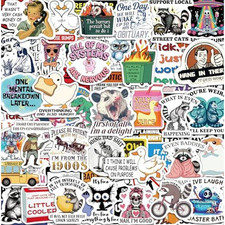 300 Pcs Funny Stickers for Adults, Sticker Pack Water Bottle Laptop Multi picture