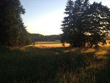 Landscape summer field sunlight green trees finland Custom Gaming Mat Desk picture