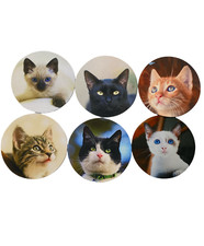 Mouse Pad Cats Kittens For Computer Round 7.5