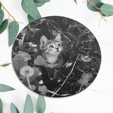Cute Kitten Cat Nature Flowers Mouse Pad Mat Office Desk Table Accessory Gift picture