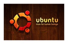 Dell 7490 Laptop Ubuntu Linux 16GB Super Fast 256GB SSD ++++++++ 5 Year Warranty picture