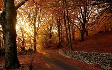 Landscape fall nature stone wall road forest rocks trees Custom Gaming Mat Desk picture