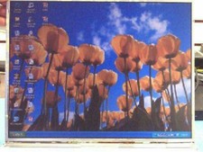 Toshiba Satellite 1415 2415 Laptop LCD Screen LP150X04 notebook computer display picture