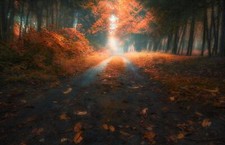 Landscape fall road leaves trees Custom Gaming Mat Desk picture