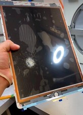 iPad Mini 6 /6th Gen Screen Glass Digitizer Replacement Repair Service picture