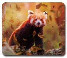 RED PANDA BEARS ~ Mouse Pad / PC Mousepad ~ Cute Wildlife China Nature Wild GIFT picture