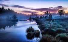 Landscape nature mist trees shrubs river germany calm Custom Gaming Mat Desk picture
