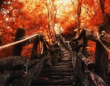 Landscape nature path walkway trees fall sunlight red Custom Gaming Mat Desk picture