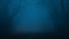 Landscape forest night midnight nature horror road Custom Gaming Mat Desk picture
