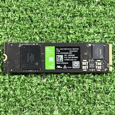 WD Green SN3000 1TB NVMe PCIe 4.0 M.2 SSD WDS100T4G0E 1711 Hours picture