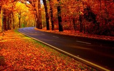 Landscape fall forest nature road asphalt Custom Gaming Mat Desk picture