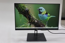 HP Z24i G2 24