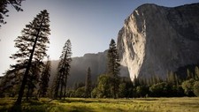 Landscape sunlight trees nature pine yosemite national Custom Gaming Mat Desk picture