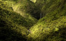 Landscape nature mountains forest waterfall spring kauai Custom Gaming Mat Desk picture