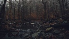 Landscape water forest fall dark gloomy mist river rocks Custom Gaming Mat Desk picture