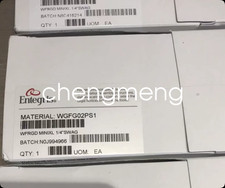 1PCS Entegris WGMXMPRR2HT filter new Shipping DHL or FedEX picture