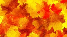 Landscape nature leaves minimalism fall orange yellow Custom Gaming Mat Desk picture