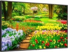 MULTISYNC M491- LED LCD 49
