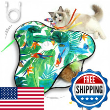 SDWUBQ Interactive Cat Toys Rechargeable,Moving Concealed Feathers,Real Mouse Sq picture