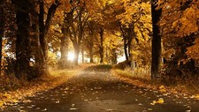 Landscape nature fall Custom Gaming Mat Desk picture