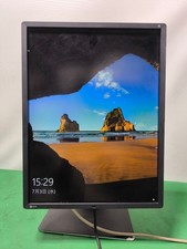 EIZO RadiForce RX350 Monitor 21.3 inch 1536X2048 Input terminal Working conditio picture