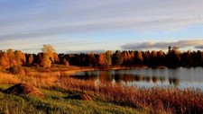 Landscape forest lake fall Custom Gaming Mat Desk picture