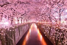 Landscape japan architecture cherry Custom Gaming Mat Desk picture