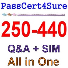 Administration of Symantec PacketShaper 11.9.1 250-440 Exam Q&A+SIM picture
