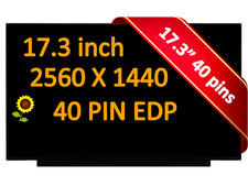 BOE NE173QHM-NY2 V8.0 Laptop Screen 17.3